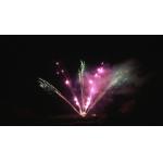 Chinese Pyrotechnics Outdoor 300 Shots Professional Fireworks Display 1.3g Fan Shaped for sale