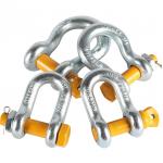 U Type D Shackles for Heavy Lifting Galvanized Steel Forged Screw Pin Anchor Shackle for sale