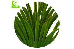 China High Imitation 165cm Big Fan Artificial Tropical Tree Luxury supplier