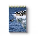 Free Sample A5 Size 3d Lenticular Notebook Cover 0.6mm Thickness