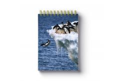 China Free Sample A5 Size 3d Lenticular Notebook Cover 0.6mm Thickness supplier