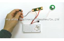China Twinkling Lights Flashing Toy Sound Module , Flashing recordable voice chip supplier