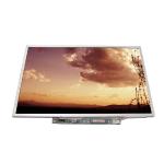 B121EW03 V2 12.1 inch 1280*800 TFT-LCD screen For Laptop for sale