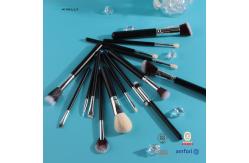 China Black Powder Makeup Brushes Set With Foundation Eyeshadow Fluffy supplier