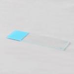 Blue 45 Corner Beveled Edges Microscope Slides Cover Slips for sale