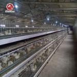 A-type Q235 Steel Cage For Baby Chickens Featuring Hot-dip Galvanized Wire Mesh for sale