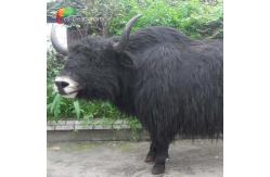 China Customized Lifelike Animatronics Robotic Animal Wild Yak Replications For Exhibition supplier