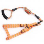 Adjustable Small Dog Harness and Lead Training Walking for Dogs