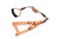 China Adjustable Small Dog Harness and Lead Training Walking for Dogs supplier