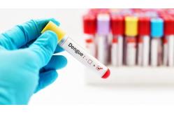China CE Approved Dengue Ns1 Antigen Test Kit Antibody Rapid Test Cassette supplier