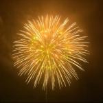 Chinese Factory 2 2.5 3 4 5 6 8'' Display Shells 1.3g Professional Fireworks for Festivals And Celebrations for sale