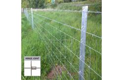 China Galvanized Fixed Knot Field Farm Wire Mesh Fence For Sheep Pressure Resisting supplier