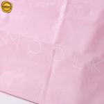 Eco-Friendly Biodegradable Custom Poly Mailer Shipping Bag With Self-Adhesive