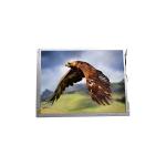 BOE 10.4 Inch TFT LCD Display LCD Screen 800X600 SVGA 96PPI ET104S0M-N11 for sale