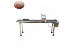 China Chicken Egg Printer Printing Machine  Ink Jet Printer Eggs Machine Egg Date Printer supplier