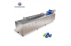 China 2000KG/H Fruit And Vegetable Washing Machine Bubble Washing Equipment supplier