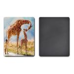 UV Offset Printing Lenticular 3D Fridge Magnets For Gift , Printed Fridge Magnets
