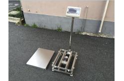 China Waterproof Heavy Duty Platform Weighing Scale And Balance 0.01Kg Accuracy supplier