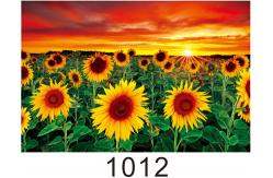 China Environmentally Friendly 3d Lenticular Photo / Custom Lenticular Printing supplier