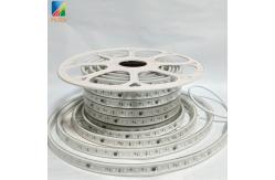 China Addressable Digital LED Strip Light Waterproof IP66 5050 RGB supplier