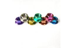 China DIN6923 Titanium Hexagon Nut With Flange Industry And Automobile Motorcycle supplier