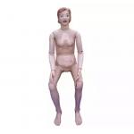 PVC Human Body Anatomical Nurse Training Doll Manikin For Medical Training for sale