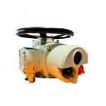 Custom Electric Multi Turn Actuator Steel Remote Control 100NM IP67 for sale