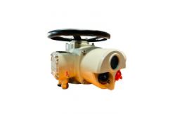 China Custom Electric Multi Turn Actuator Steel Remote Control 100NM IP67 supplier