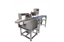 China Automatic Chocolate Tempering Machine With Enrobing Table supplier