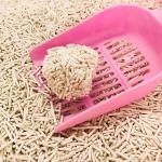 ODM Tofu Cat Litter No Dust Green Tea No Smell Cat Litter Custom for sale
