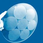 300mm Diameter Quartz Glass Sheet Slotted Round for sale