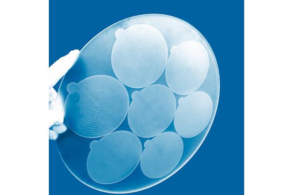 300mm Diameter Quartz Glass Sheet Slotted Round