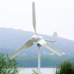 Electric Household Wind Power System Horizontal Pure Sine Wave Low Frequency