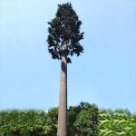 10m Disguised Bionic Tree Camouflaged Cell Tower for sale
