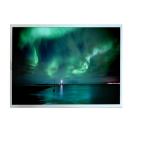 21.5 inch TFT LCD Screen for AUO M215HAN01.3 Display Panel for sale