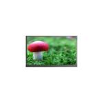 Original 1200*1920 8.0 inch P080LDN-DB2 60Hz LCD Panel for sale