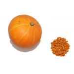 Premium Organic Dried Vegetables , Dehydrated Pumpkin Granules Natural Taste for sale