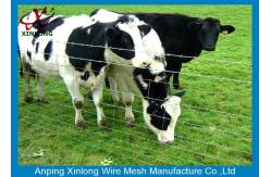 China Rust Resistance Metal Field Fencing , Galvanized Woven Field Fence supplier