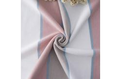 China Breathable And Durable Fastness And Healthy Striped Knit Fabric For Casual Wear supplier