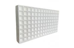 China EPS foam seedling tray Customized vegetable, flower and tobacco seedling tray supplier