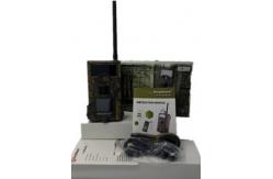 China Infrared Trail Camera That Sends Pictures To Cell Phone / Hunting Action Camera supplier