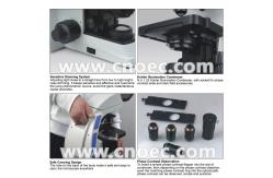 China Infinity Plan Phase Contrast Microscope with Kohler 3W LED Illumination A19.0907 supplier