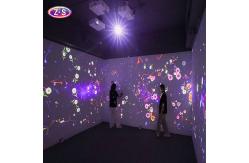 China Wall And Floor Combined Seamless Technology Immersive Interactive Projection System supplier