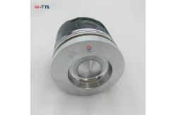 China D6E Engine Piston 20890422 04285668 04284246 04501383 04284390 BF4M2012 BF6M2012 supplier