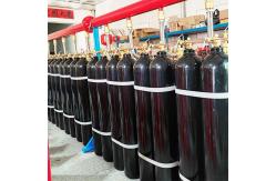 China Clean Gas Auto HFC 227ea Fire Extinguishing System Protects Museums And Archives supplier