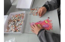 China Paper Puzzle Quality Control Final Inspection , 3rd Party Inspection Services supplier