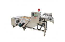 China SUS 304 500kg/h Air Bubble vegetable sanitizer machine supplier