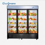 Three Layer Glass Door Freezer Hollow Tempered Coated Heating Front Freezer 1305L for sale