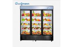 China Three Layer Glass Door Freezer Hollow Tempered Coated Heating Front Freezer 1305L supplier