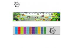 China Custom 3d Lenticular Ruler supplier